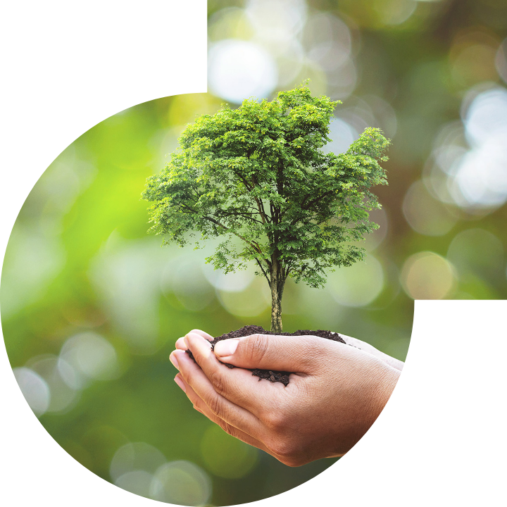 關懷人類、文化、環境與社會